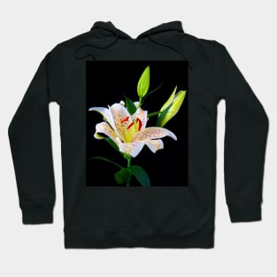 Lovely Sonata Three Stem lily Hoodie